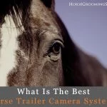 best horse trailer camera system