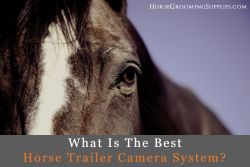 best horse trailer camera system