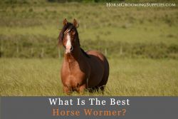 best horse wormer