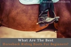 best horseback riding boots for beginners