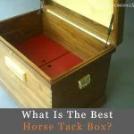 best horse tack box