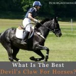 Uckele Devil’s Claw Plus review