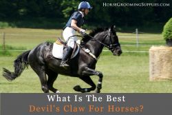 Uckele Devil’s Claw Plus review