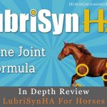 lubrisynha for horses review