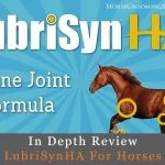 lubrisynha for horses review