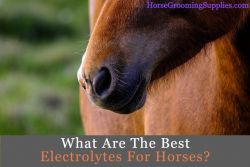 Best Electrolytes For Horses