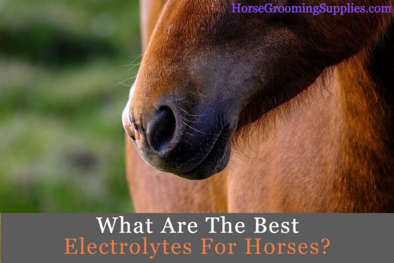 Best Calming Supplement For Horses 2023 Nervous, Anxious, Hot Equine