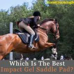 Best Impact Gel Saddle Pad Reviews