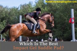 Best Impact Gel Saddle Pad Reviews