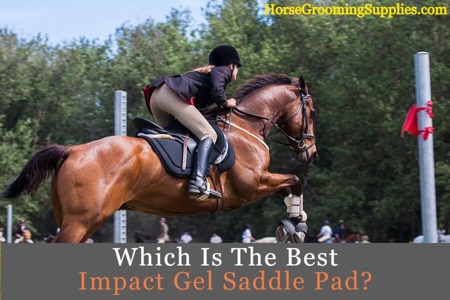 Best Impact Gel Saddle Pad Reviews The Secret to a Comfortable Ride
