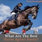 best horse splint boots for sale