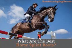 best horse splint boots for sale