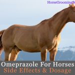 omeprazole for horses side effects & dosage