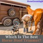 best horse hoof trimmer reviews
