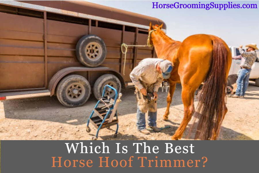 Unbelievable How Much Hoof Trimmers Really Earn - ujk7fqo