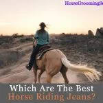 best horse riding jeans