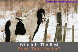 best stock tank heater reviews