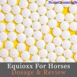 equioxx for horses dosage & review