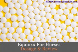 equioxx for horses dosage & review