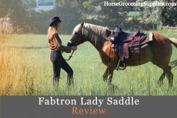 fabtron lady saddle review