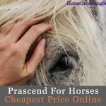 prascend for horses cheapest price online & dosage