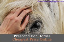 prascend for horses cheapest price online & dosage