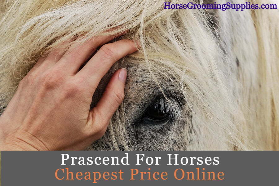 Prascend for Horses Dosage & Best Price