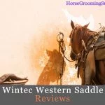 wintec western saddle reviews