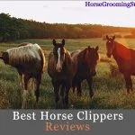 best horse clippers reviews