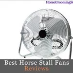 best horse stall fans barn