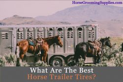 best horse trailer tires for sale