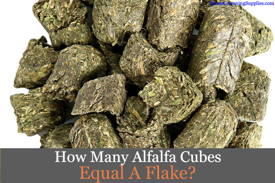 How Many Alfalfa Cubes Equal a Flake Avoid Overfeeding Your Horse